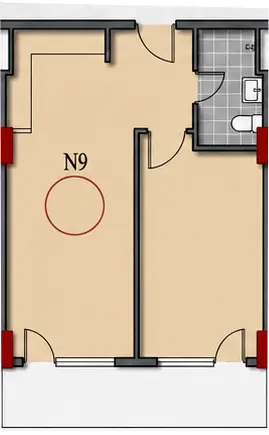 N209